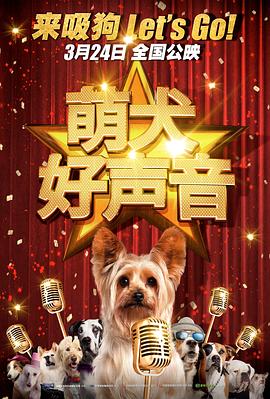 久久精品视频观看
