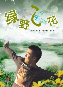 成人激情视频在线